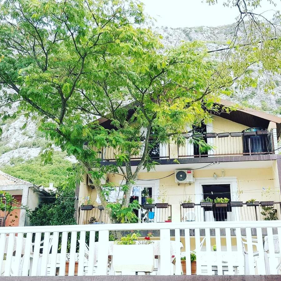 Montenegro Apartmant'S Kotor Bagian luar foto