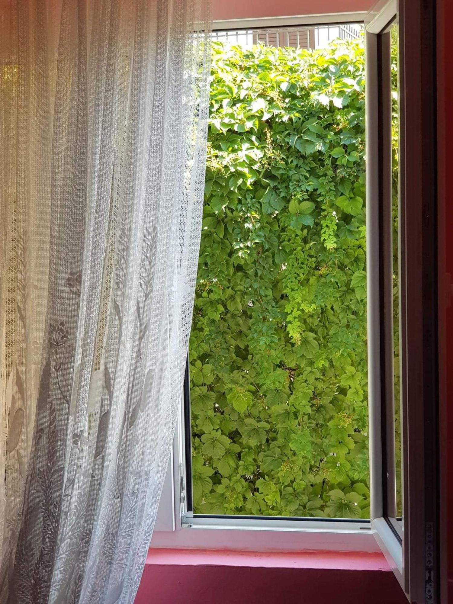 Montenegro Apartmant'S Kotor Ruang foto